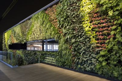 QUEENSLAND’S LARGEST EVER GREENWALL UNVEILED